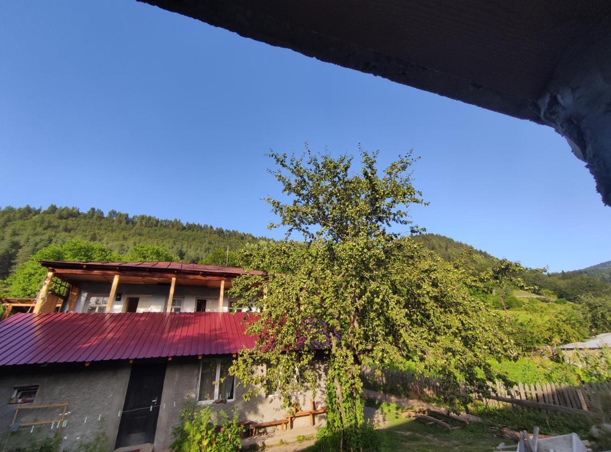Ecohouse Svaneti Mestia Exterior photo