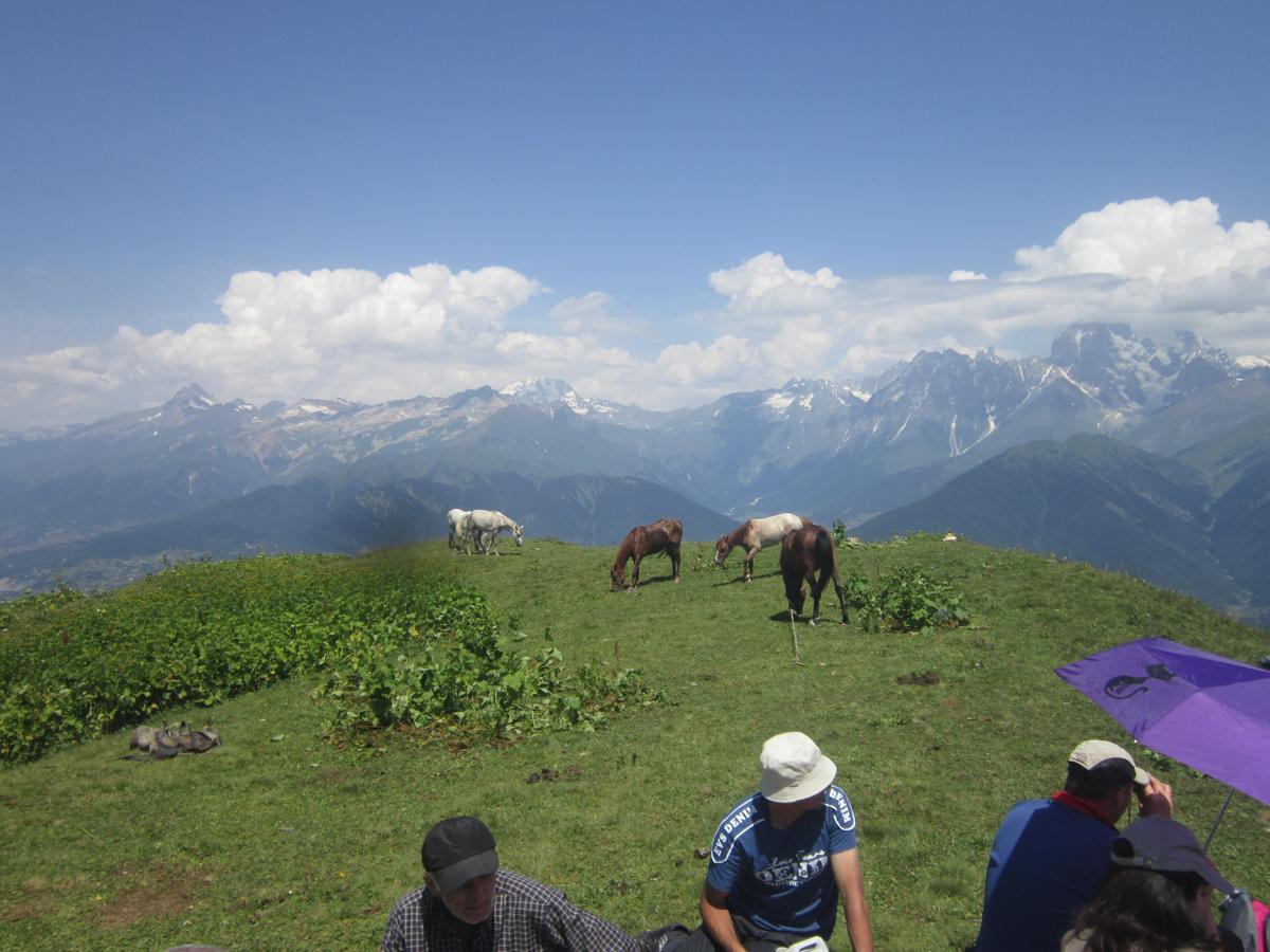 Ecohouse Svaneti Mestia Exterior photo